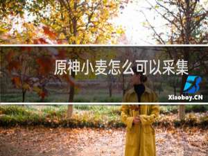 原神小麦怎么可以采集