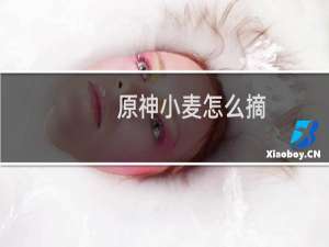 原神小麦怎么摘