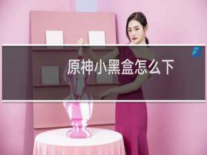 原神小黑盒怎么下