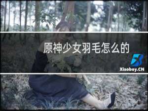 原神少女羽毛怎么的