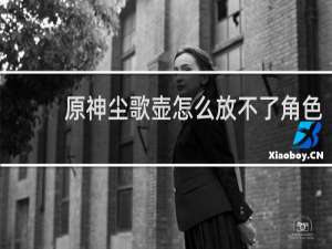 原神尘歌壶怎么放不了角色