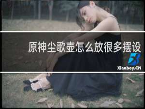 原神尘歌壶怎么放很多摆设