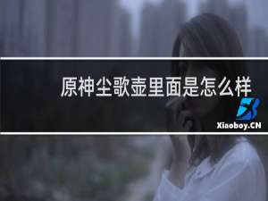 原神尘歌壶里面是怎么样