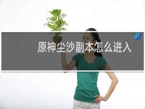 原神尘沙副本怎么进入