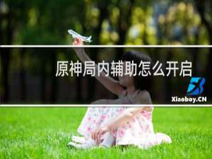 原神局内辅助怎么开启