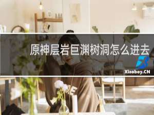 原神层岩巨渊树洞怎么进去