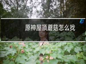 原神屋顶蘑菇怎么找