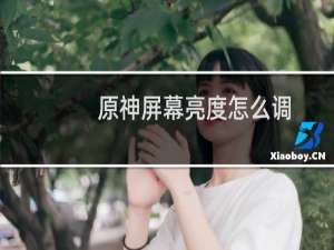 原神屏幕亮度怎么调