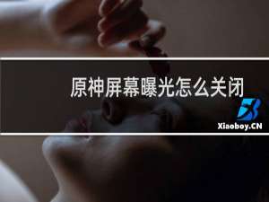 原神屏幕曝光怎么关闭