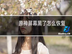 原神屏幕黑了怎么恢复