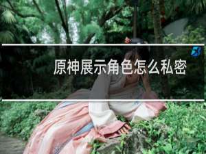 原神展示角色怎么私密