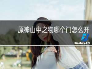 原神山中之物哪个门怎么开