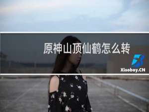 原神山顶仙鹤怎么转