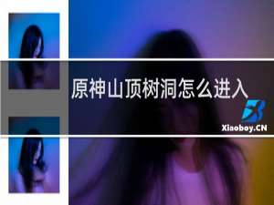 原神山顶树洞怎么进入