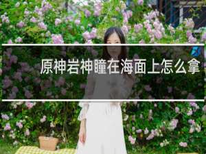 原神岩神瞳在海面上怎么拿