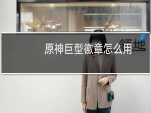 原神巨型徽章怎么用