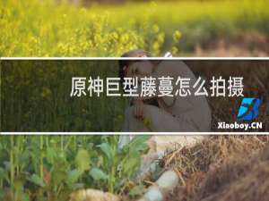 原神巨型藤蔓怎么拍摄