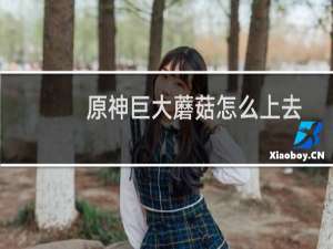 原神巨大蘑菇怎么上去