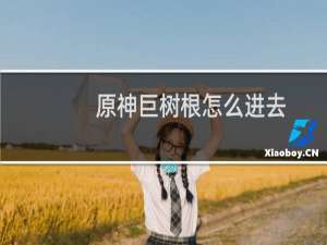 原神巨树根怎么进去