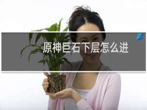 原神巨石下层怎么进