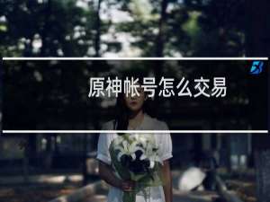 原神帐号怎么交易
