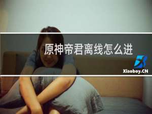 原神帝君离线怎么进