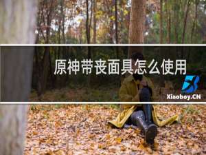 原神带丧面具怎么使用