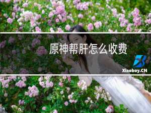 原神帮肝怎么收费