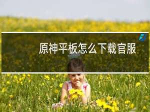原神平板怎么下载官服