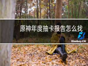 原神年度抽卡报告怎么找