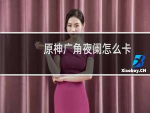 原神广角夜阑怎么卡