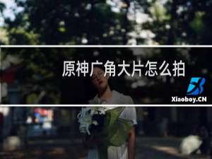 原神广角大片怎么拍