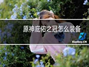 原神庇佑之冠怎么装备