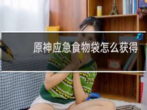 原神应急食物袋怎么获得