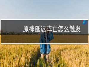 原神延迟阵亡怎么触发