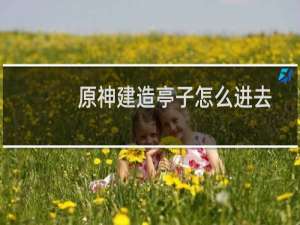 原神建造亭子怎么进去