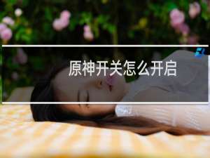 原神开关怎么开启