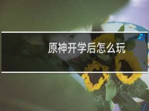 原神开学后怎么玩