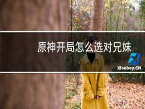 原神开局怎么选对兄妹