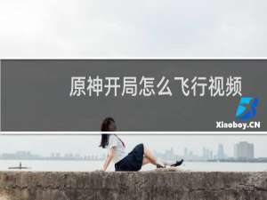 原神开局怎么飞行视频
