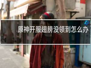 原神开服翅膀没领到怎么办