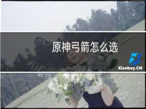 原神弓箭怎么选
