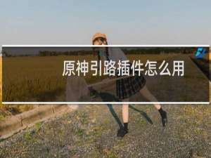 原神引路插件怎么用