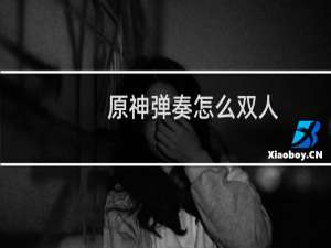 原神弹奏怎么双人