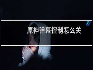 原神弹幕控制怎么关