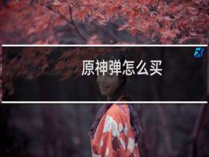 原神弹怎么买