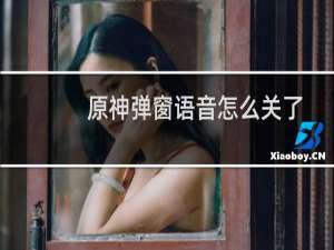 原神弹窗语音怎么关了