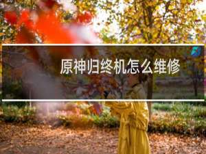 原神归终机怎么维修
