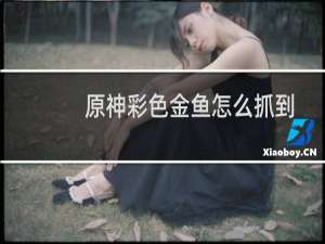 原神彩色金鱼怎么抓到