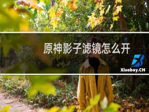 原神影子滤镜怎么开